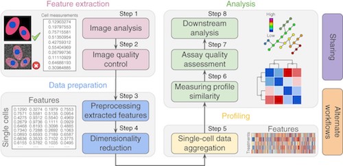 How to Reduce the Number of Variables to Analyze